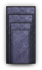 t2